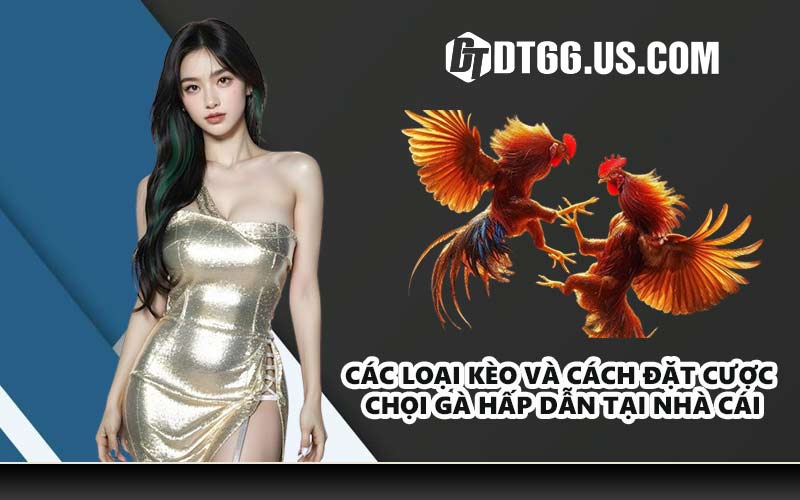 Các loại kèo và cách đặt cược chọi gà hấp dẫn tại nhà cái