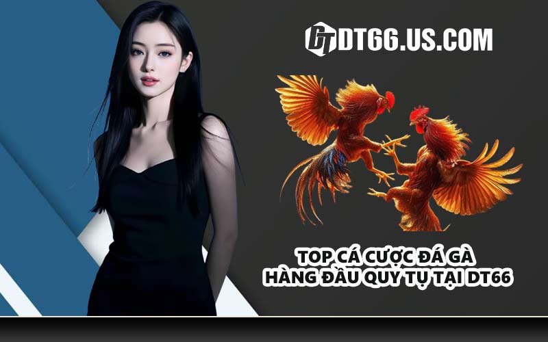 Top cá cược đá gà hàng đầu quy tụ tại DT66