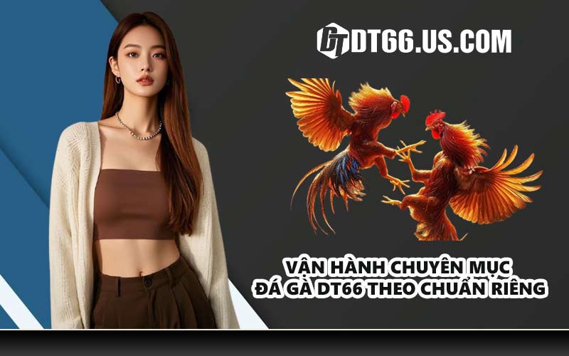 Vận hành chuyên mục đá gà DT66 theo chuẩn riêng